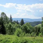 Apartment In Wiesing Nahe Skipisten Viechtach