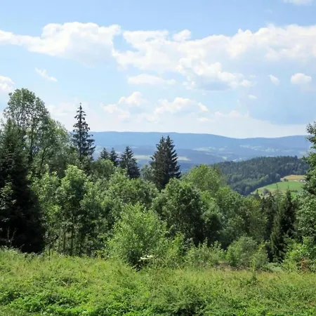 Apartman Spacious In The Bavarian Forest *
